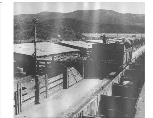 Black and white photo of the Kardashian family hog farm near Artesia, where SCD began